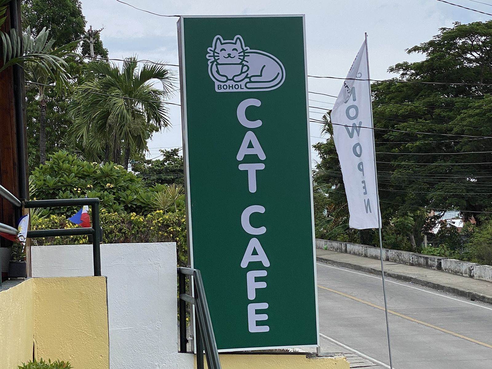 Bohol Cat Cafe